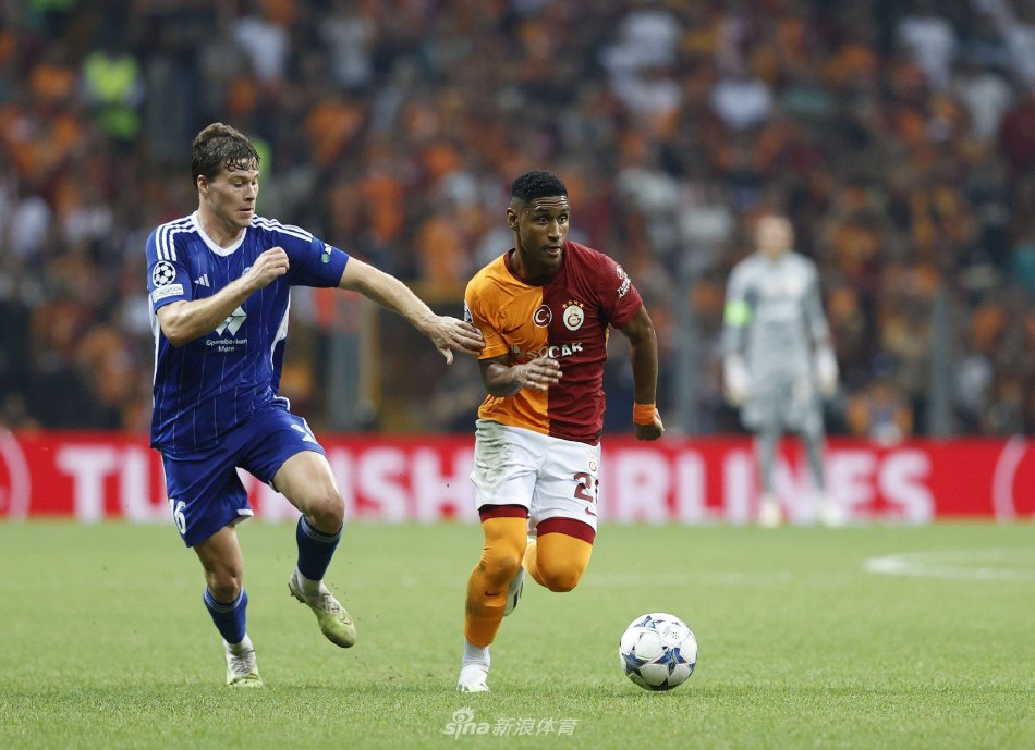 供了深入分 供了深入分